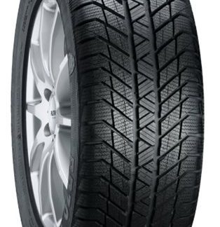 Pneumatico Platin RP-70 Winter 205/65 R15 94T Invernale